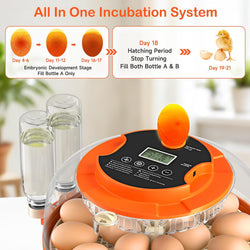 18 Egg Incubator w/ Auto Turning & Humidity Control for Poultry Hatching