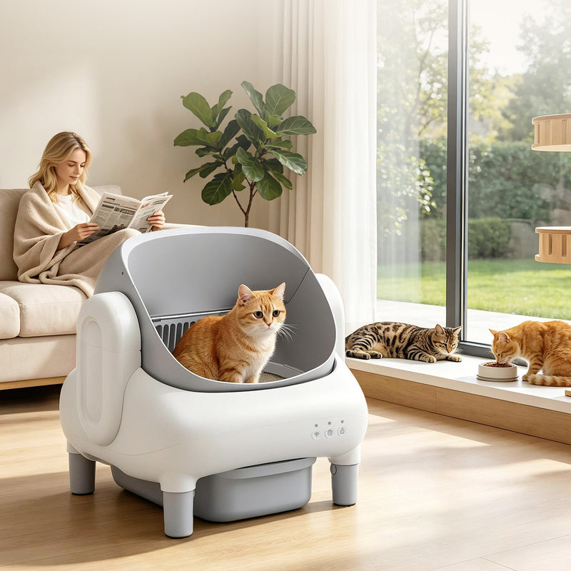 Automatic Litter Box,Open Top Self Cleaning Litter Box with App Control for Multiple Cats, Safety Sensors Protection, Odor Control Includes 2 roll Liners,Large Waste Bin, Cream White
