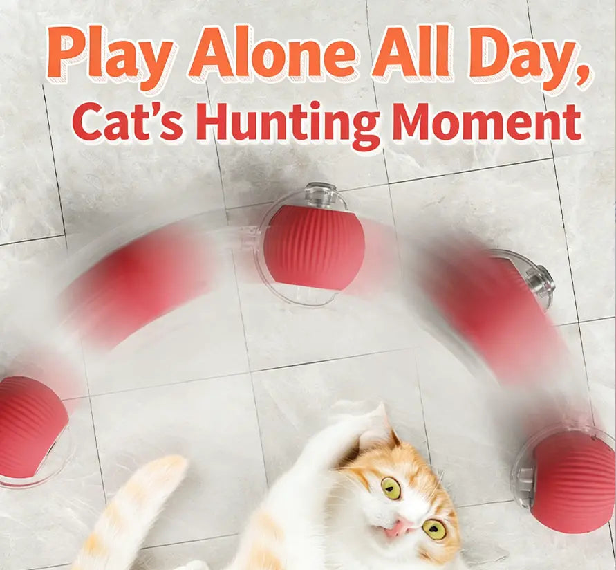 Automatic Cat Toy with Speedy Tail - Automatic Rolling Ball, Durable Interactive Play Toy for Indoor Cats & Kittens