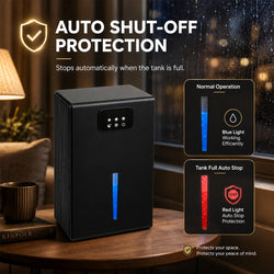 Quiet Portable Dehumidifier with Large Tank, Sleep Mode and Ambient Night Light