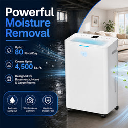 Portable Dehumidifier for Bedroom, Bathroom and Closet with Quiet Operation and Auto Shutoff