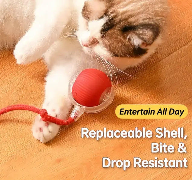 Automatic Cat Toy with Speedy Tail - Automatic Rolling Ball, Durable Interactive Play Toy for Indoor Cats & Kittens
