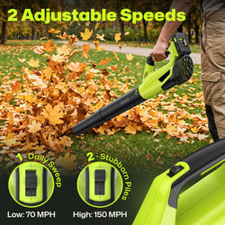 Cordless Leaf Blower, 20V Leaf Blower with 2 x 2.0Ah Batteries & Charger, Up to 450CFM/150MPH, 2 Variable Speed, Lightweight for Blowing Leaves, Patio Cleaning, Lawn Care and Dust (Green)