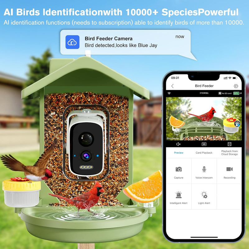 Solar Smart Bird Feeder with Camera, AI Bird Recognition and App Alerts