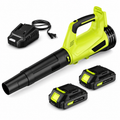 Cordless Leaf Blower, 20V Leaf Blower with 2 x 2.0Ah Batteries & Charger, Up to 450CFM/150MPH, 2 Variable Speed, Lightweight for Blowing Leaves, Patio Cleaning, Lawn Care and Dust (Green)
