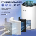 Tolife TZ-K1 Air Purifier Kills most Viruses Allergens/Dust/Germs GONE!