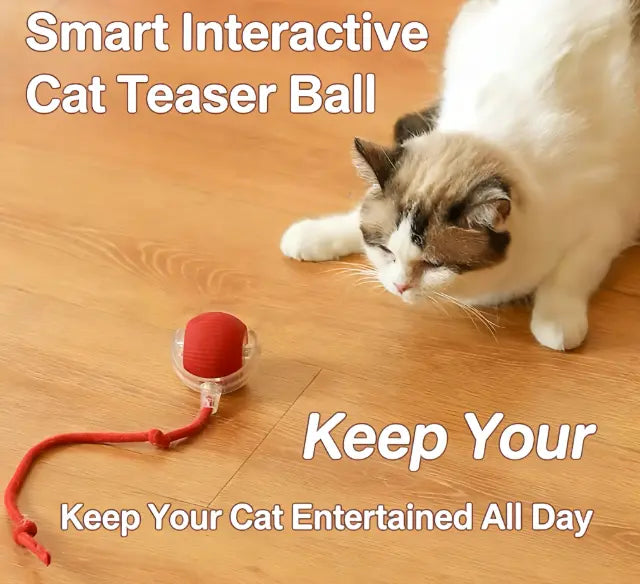 Automatic Cat Toy with Speedy Tail - Automatic Rolling Ball, Durable Interactive Play Toy for Indoor Cats & Kittens