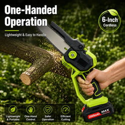 Cordless Mini Chainsaw Pruning Saw with 2 Batteries, Charger, Case and Extra Chain