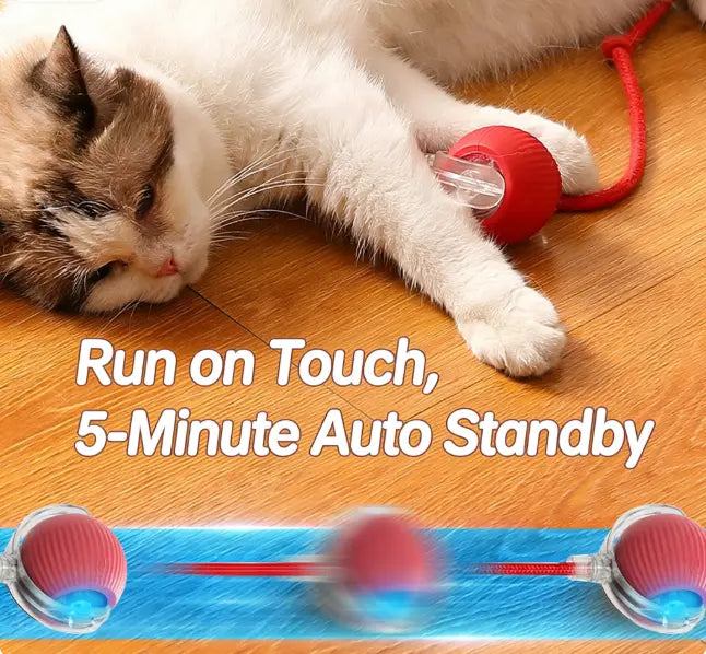 Automatic Cat Toy with Speedy Tail - Automatic Rolling Ball, Durable Interactive Play Toy for Indoor Cats & Kittens